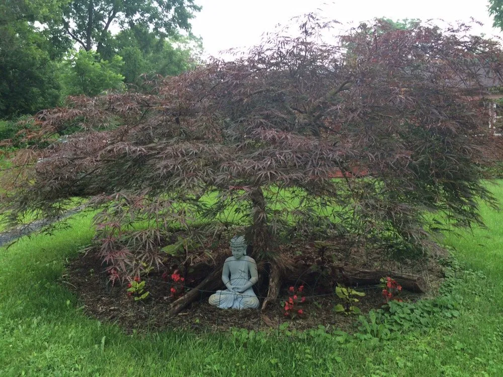 Reliable outdoor landscaping in Front Royal, VA by Arborist's Touch
