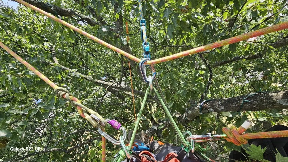 Expert lawn care service in Canal Winchester, OH by Arboristsam Tree Care