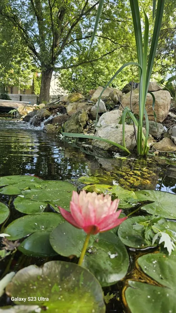 Affordable landscaping services for outdoor upgrades across Canal Winchester, OH - Arboristsam Tree Care