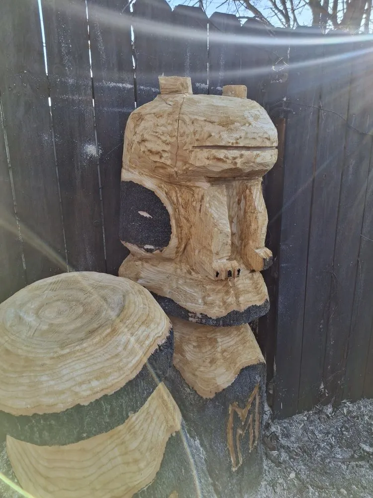 Top-rated lawn care service in Canal Winchester, OH by Arboristsam Tree Care