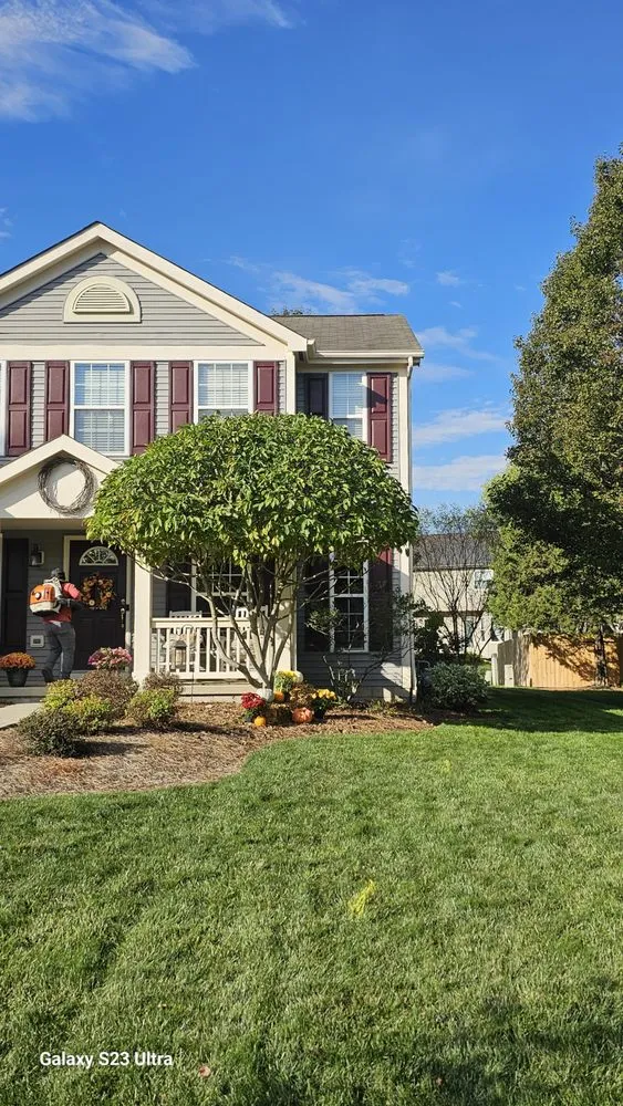 Expert yard maintenance for residential properties across Canal Winchester, OH - Arboristsam Tree Care