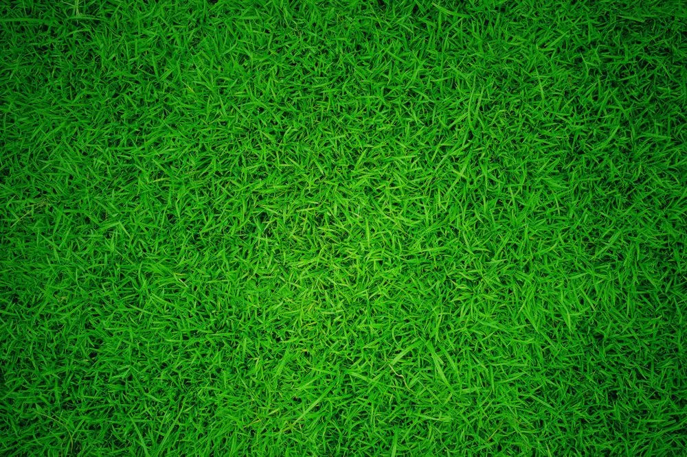 Local landscaping services for residential properties across Lansing, MI - ArborLawn