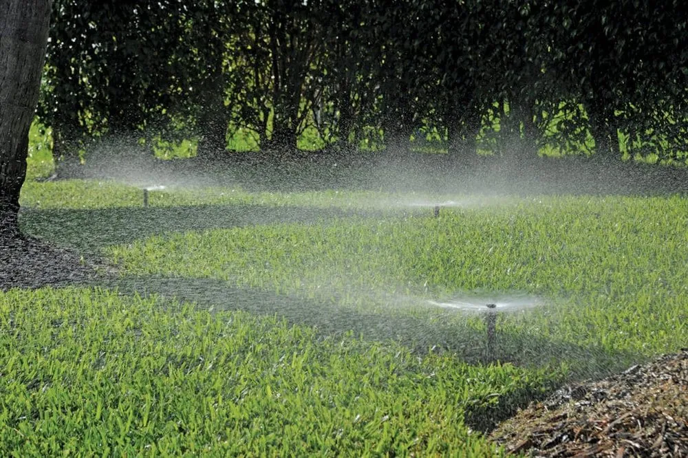 Trusted landscaping services with custom design across Lansing, MI - ArborLawn