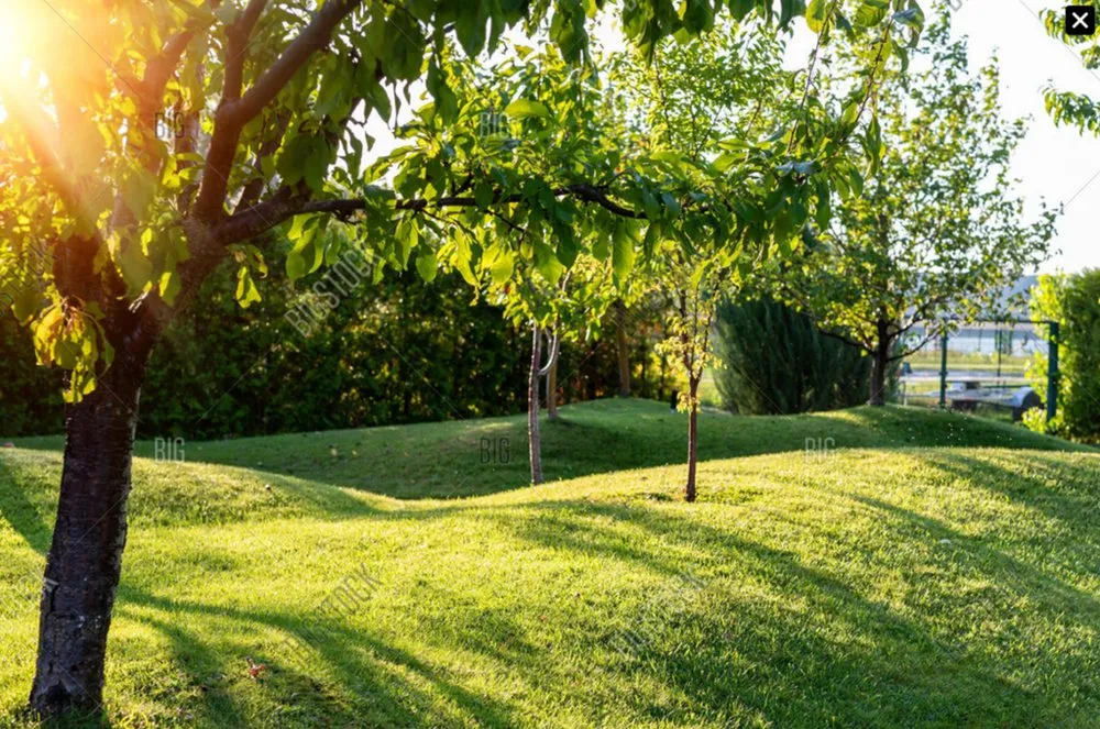 Professional garden landscaping in Lansing, MI by ArborLawn