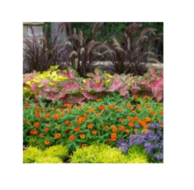 Professional yard maintenance in Houston, TX by ARBORlite LLC