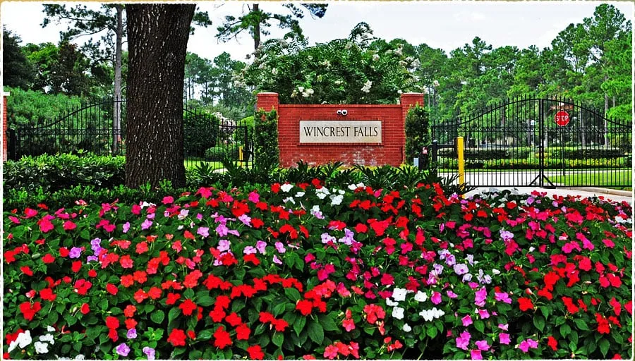 Professional yard cleanup service for beautiful yards across Houston, TX - ARBORlite LLC