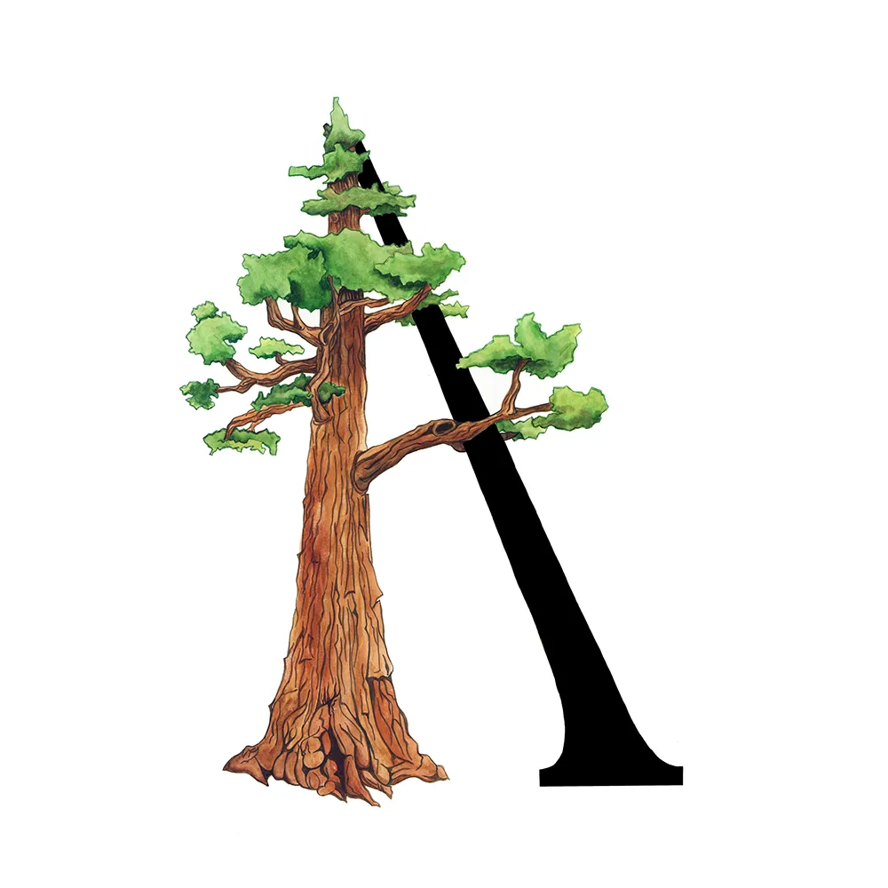 Trusted yard maintenance experts serving Huntsville, UT - Arbormann