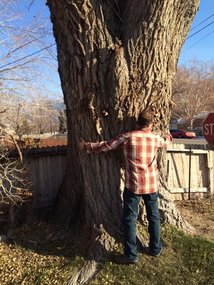 Professional landscape installation for homes in Huntsville, UT by Arbormann