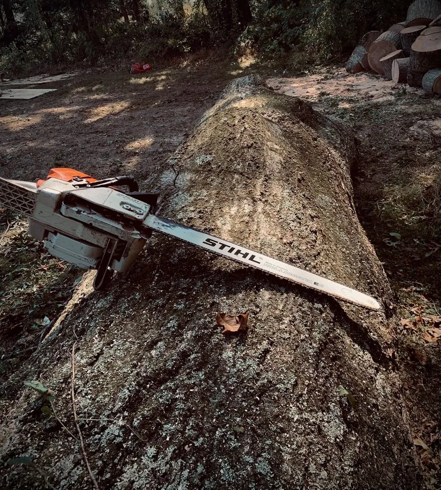 Expert landscaping services in Owings Mills, MD by Arbormasters