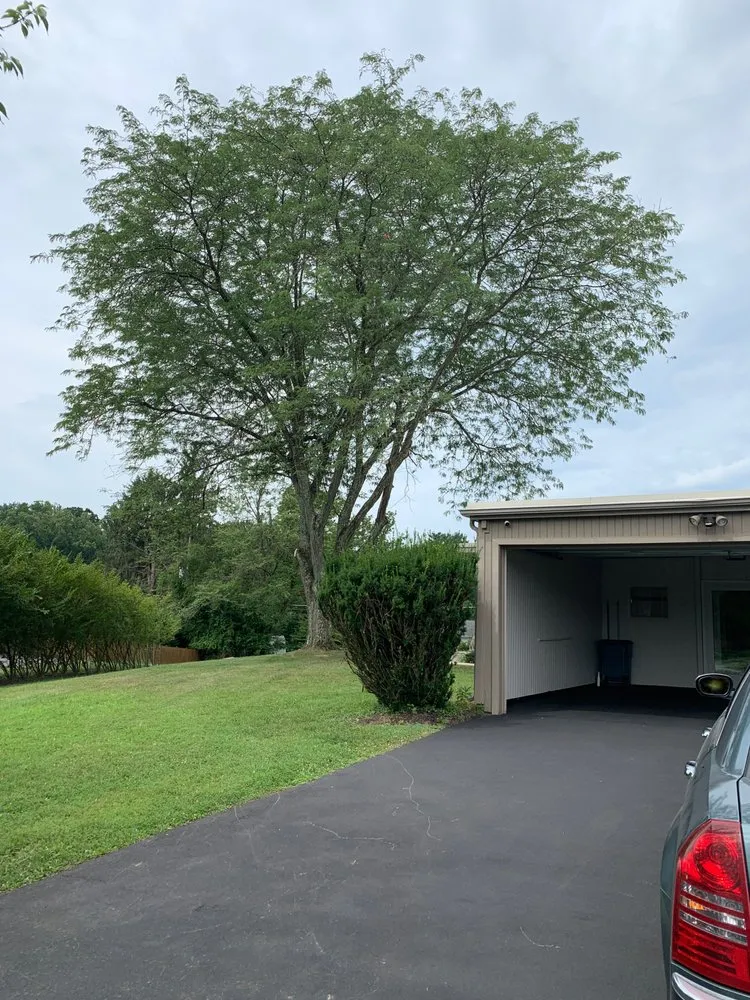 Custom lawn mowing service experts serving Owings Mills, MD - Arbormasters