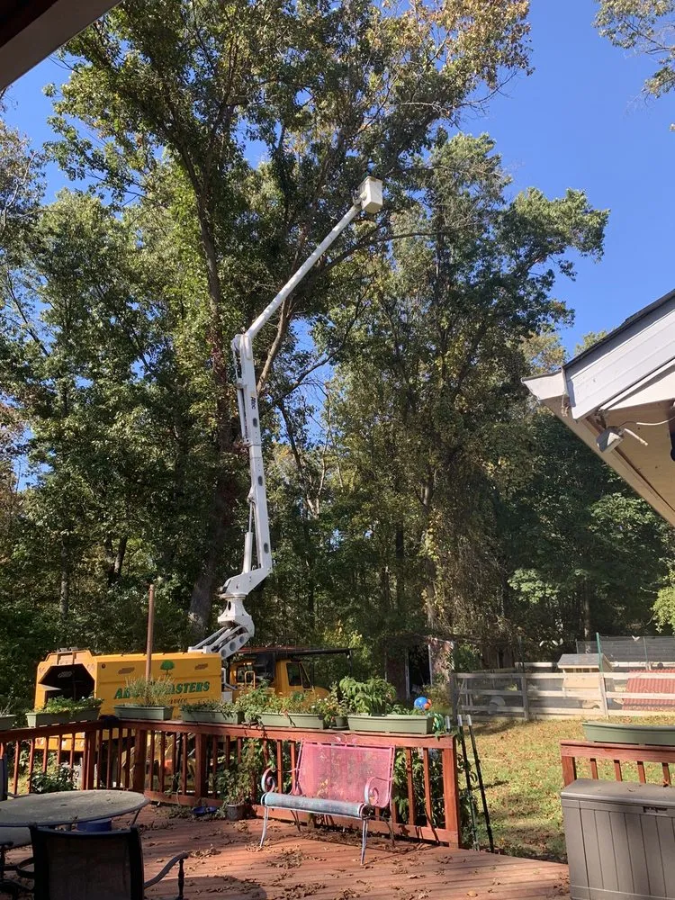 Top-rated yard maintenance for year-round maintenance in Owings Mills, MD by Arbormasters