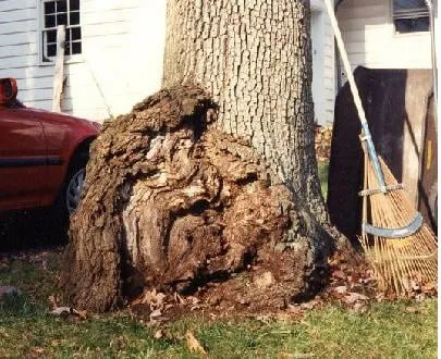 Trusted landscape installation in Owings Mills, MD - Arbormasters