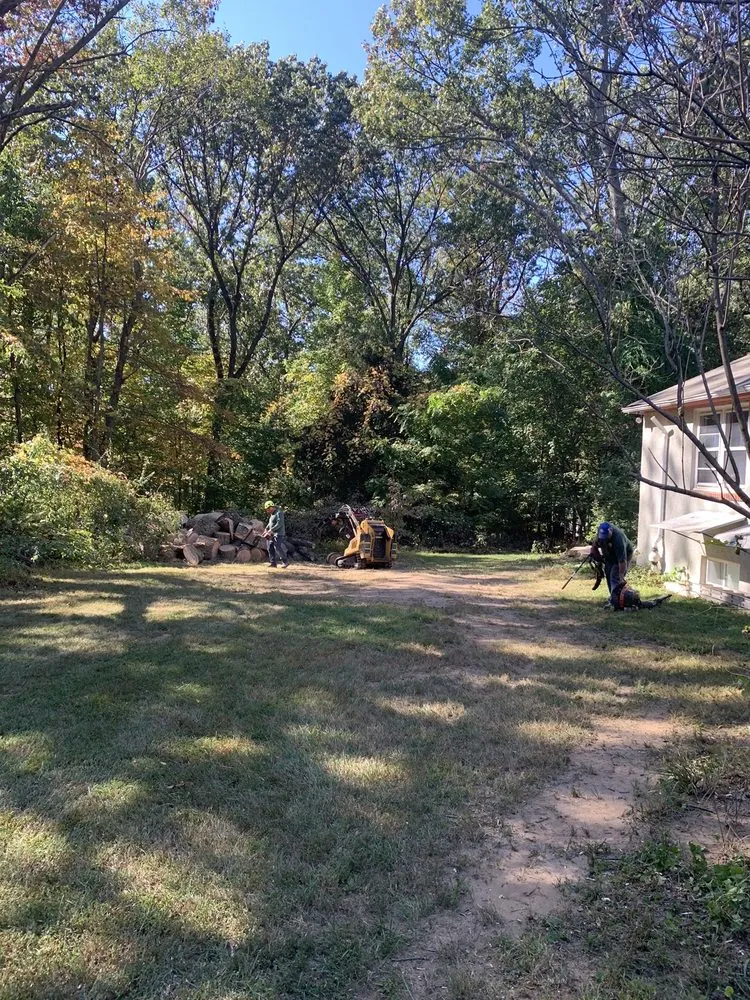 Expert yard cleanup service in Owings Mills, MD by Arbormasters