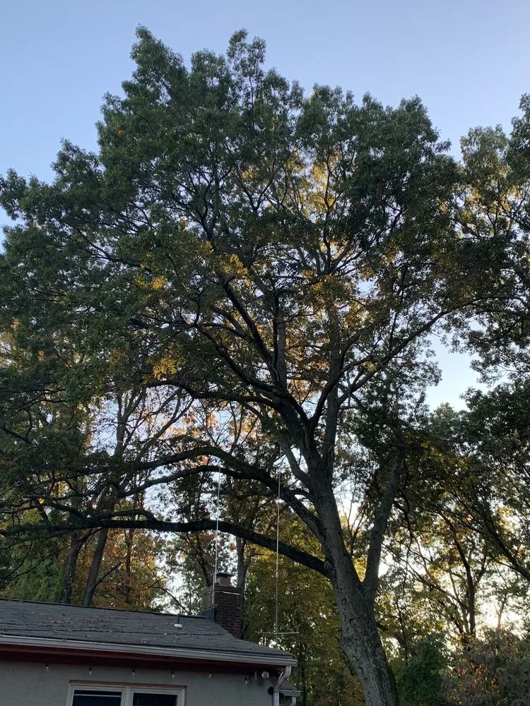 Affordable yard maintenance in Owings Mills, MD by Arbormasters