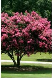 Reliable landscape design for beautiful yards across Owings Mills, MD - Arbormasters