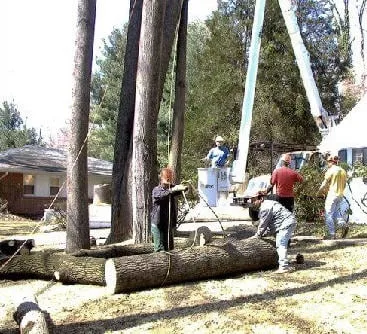 Custom landscape design in Owings Mills, MD by Arbormasters