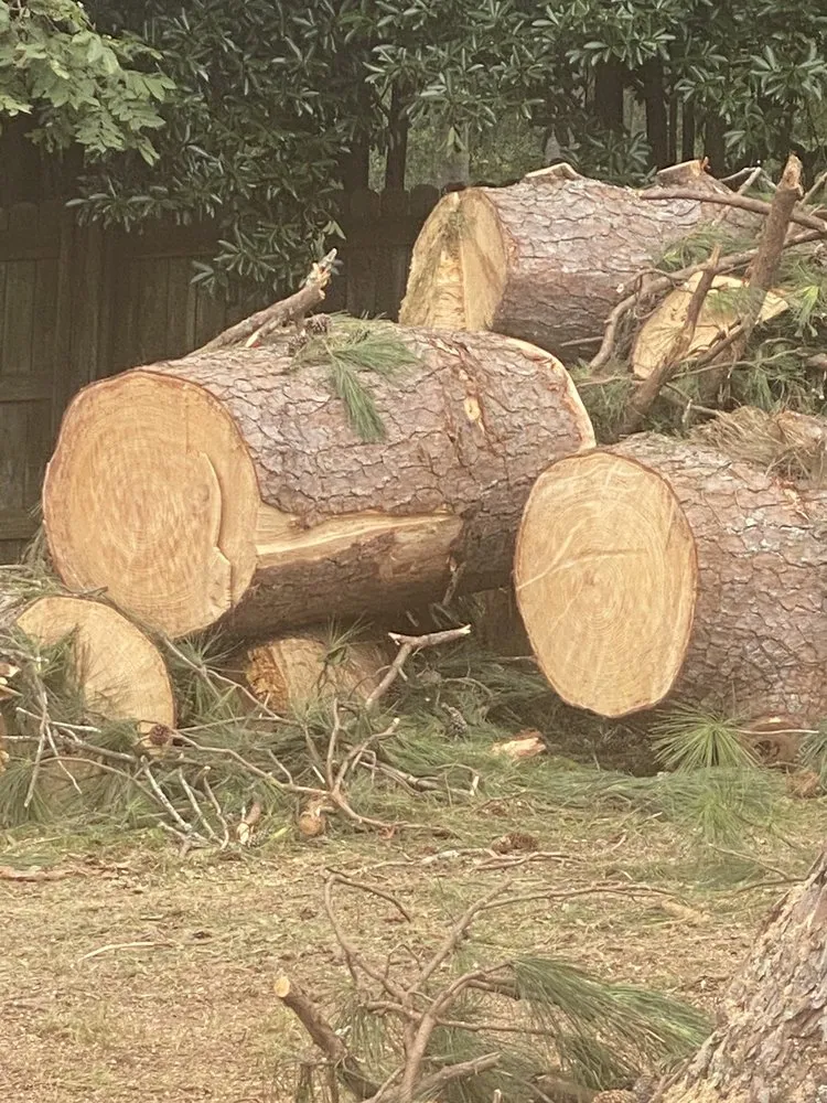 Expert lawn mowing service for homes in Tallassee, AL by ArborMax Tree Service