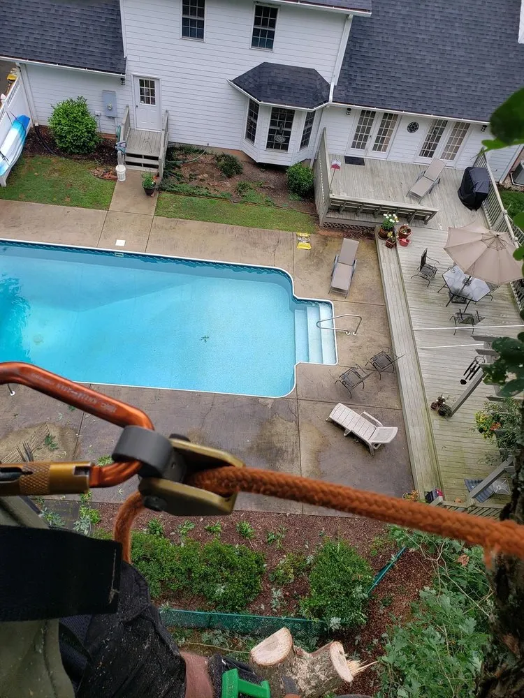 Reliable landscape design in Tallassee, AL - ArborMax Tree Service