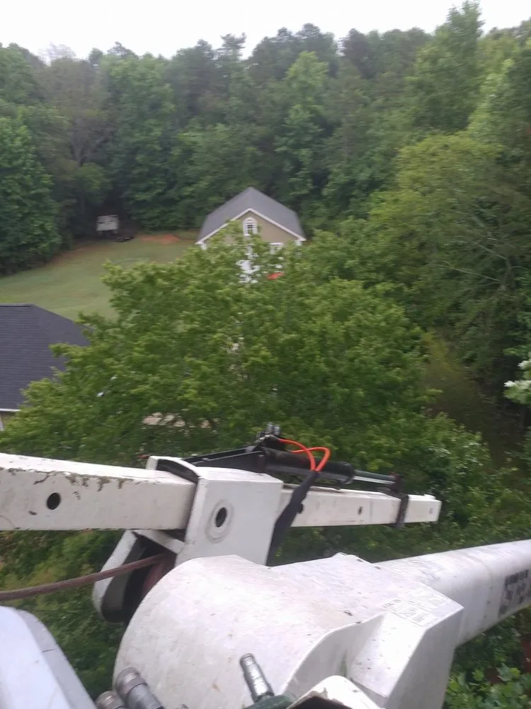 Custom yard maintenance in Tallassee, AL - ArborMax Tree Service