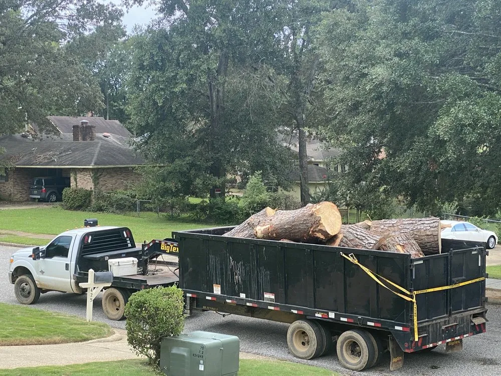 Professional landscaping services for year-round maintenance across Tallassee, AL - ArborMax Tree Service