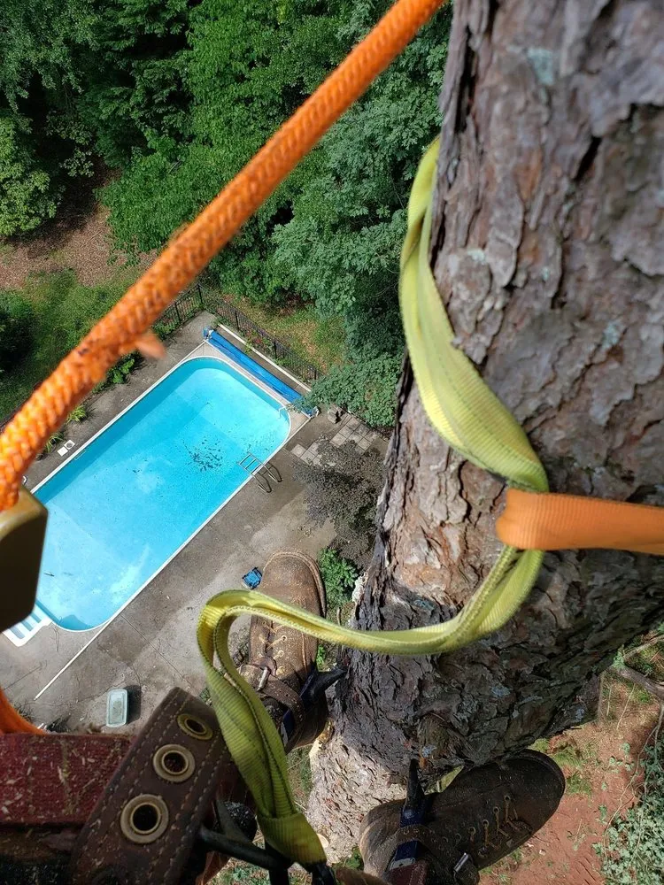 Affordable yard maintenance experts serving Tallassee, AL - ArborMax Tree Service