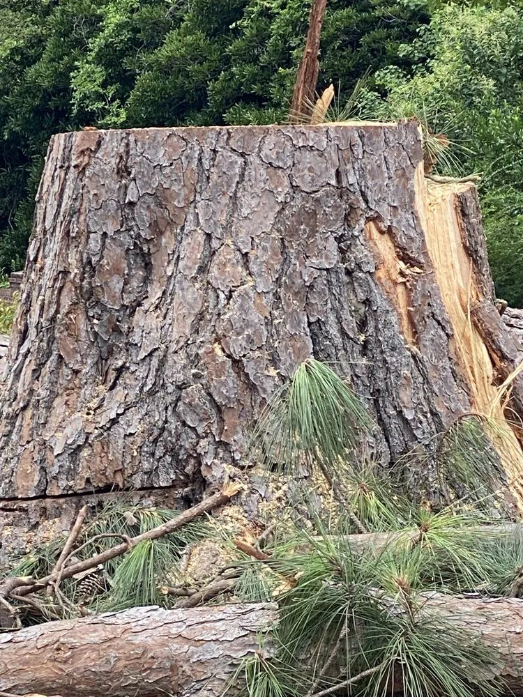 Top-rated outdoor landscaping for homes across Tallassee, AL - ArborMax Tree Service