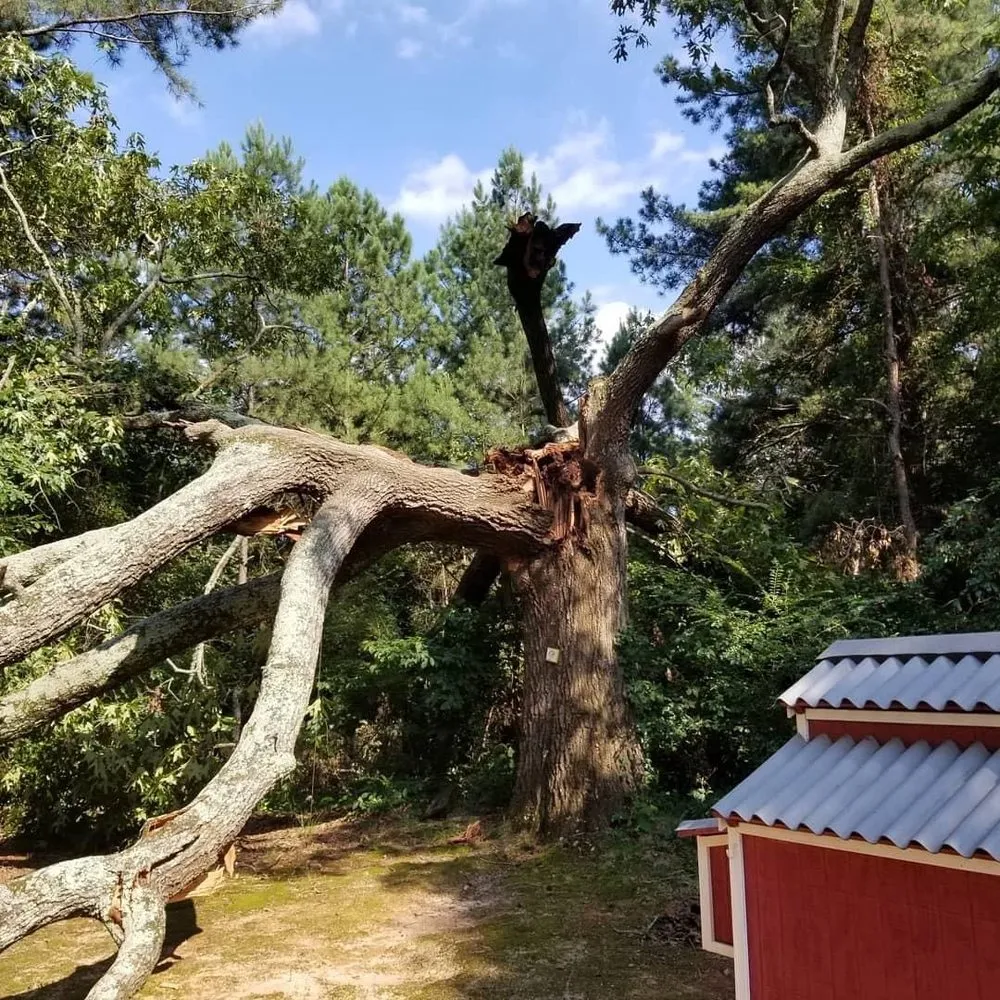 Expert landscape design for residential properties in Tallassee, AL by ArborMax Tree Service