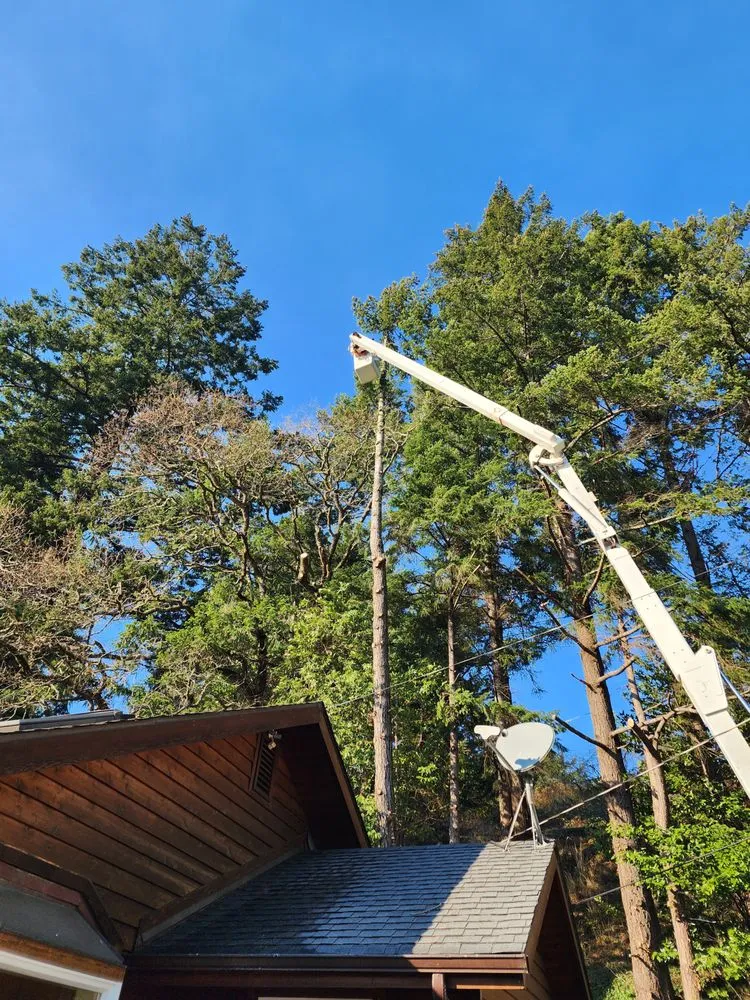 Local landscaping services in Gold Beach, OR by Arbormaxx