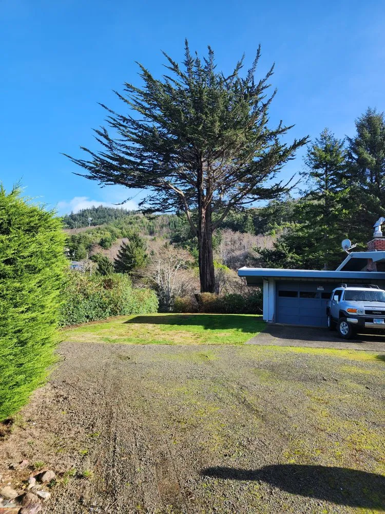 Top-rated landscaping services in Gold Beach, OR by Arbormaxx