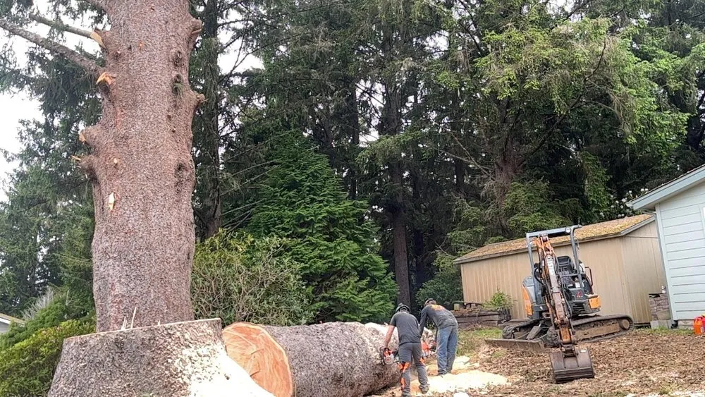 Affordable landscape design for beautiful yards across Gold Beach, OR - Arbormaxx