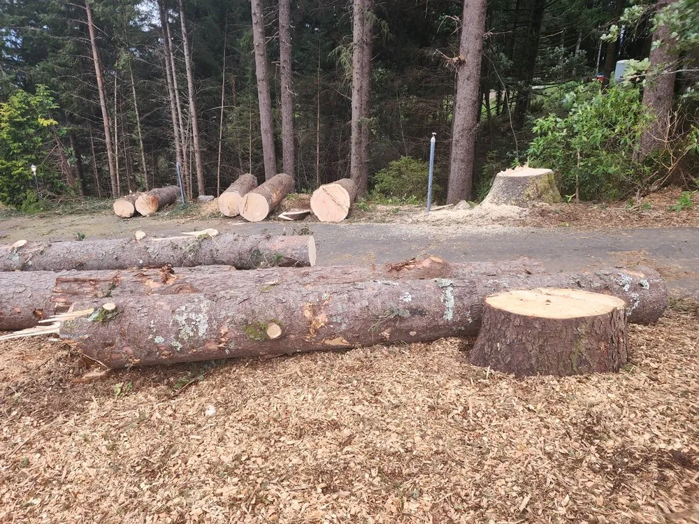 Top-rated yard cleanup service in Gold Beach, OR - Arbormaxx