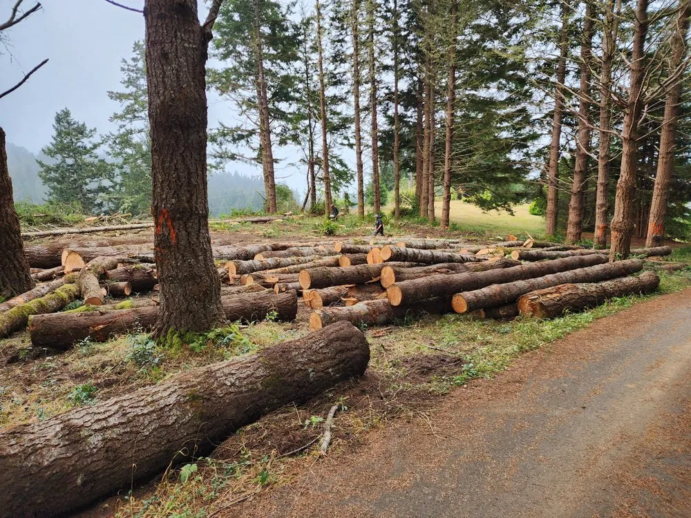 Expert lawn mowing service for outdoor upgrades across Gold Beach, OR - Arbormaxx