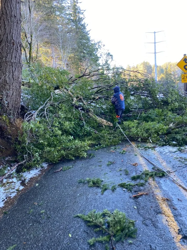Affordable yard maintenance for homes across Gold Beach, OR - Arbormaxx