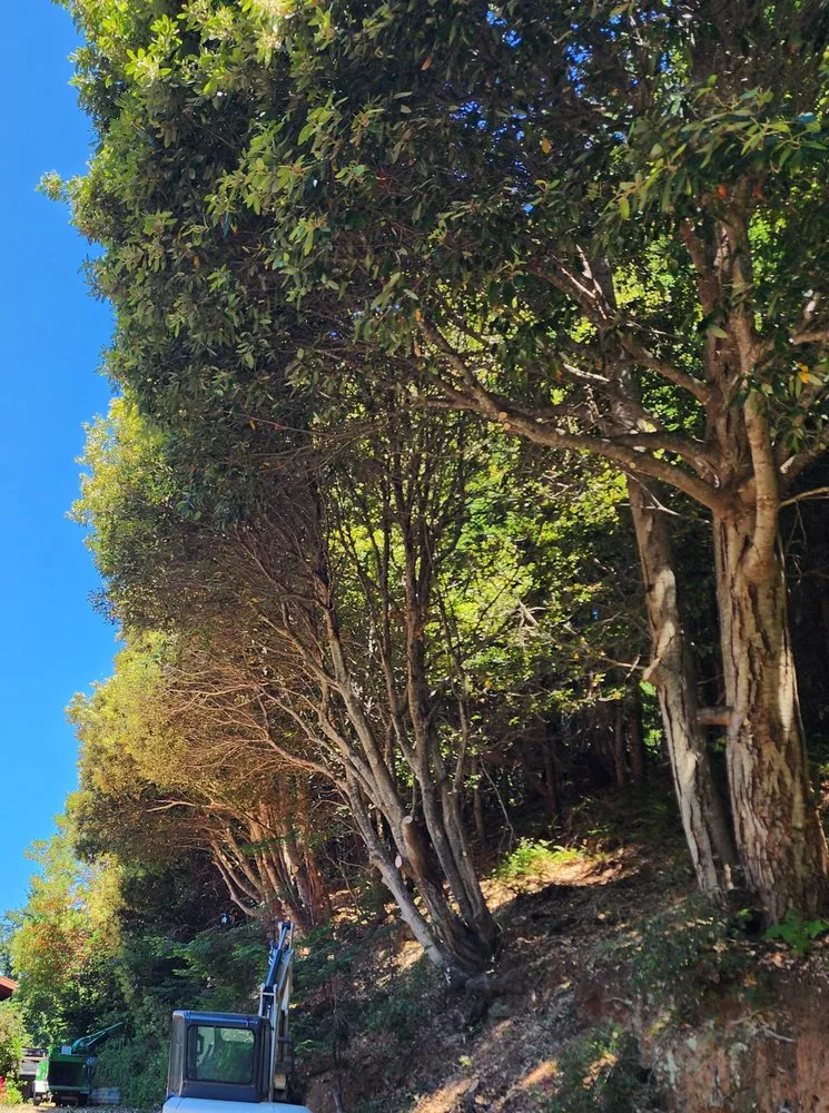 Custom lawn mowing service in Gold Beach, OR - Arbormaxx