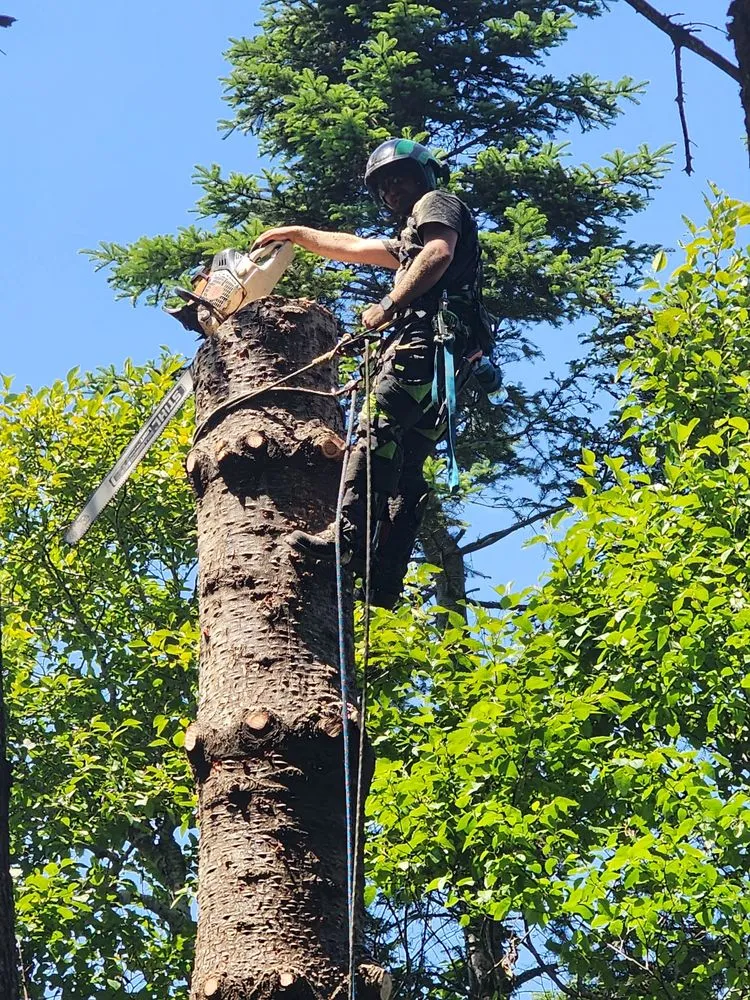 Trusted garden landscaping for homes in Gold Beach, OR by Arbormaxx