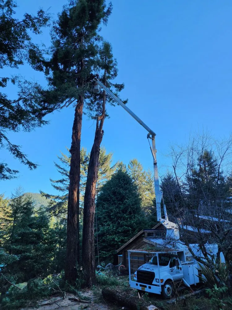 Local residential landscaping in Gold Beach, OR by Arbormaxx