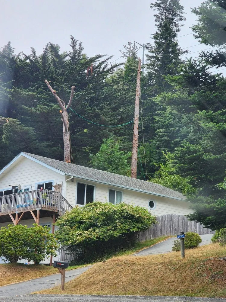 Trusted yard maintenance in Gold Beach, OR - Arbormaxx
