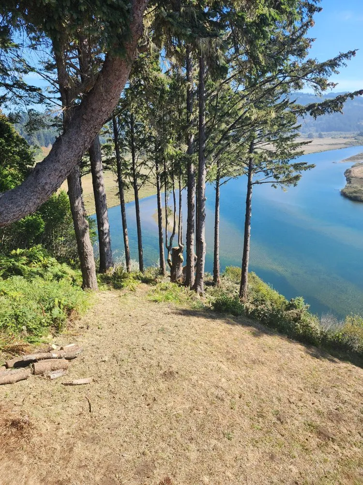 Expert yard cleanup service in Gold Beach, OR - Arbormaxx