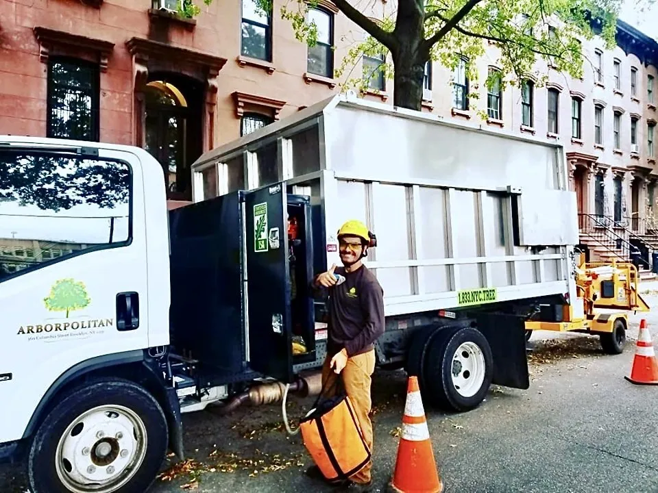 Trusted lawn care service in Brooklyn, NY by Arborpolitan Tree & Garden Care