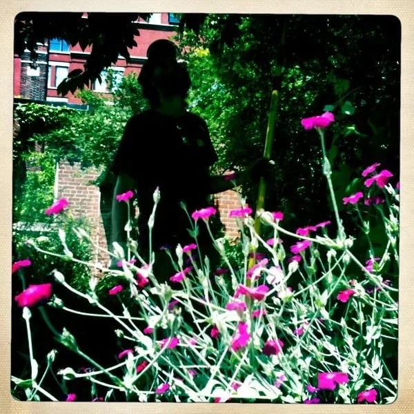 Custom yard maintenance for residential properties across Brooklyn, NY - Arborpolitan Tree & Garden Care