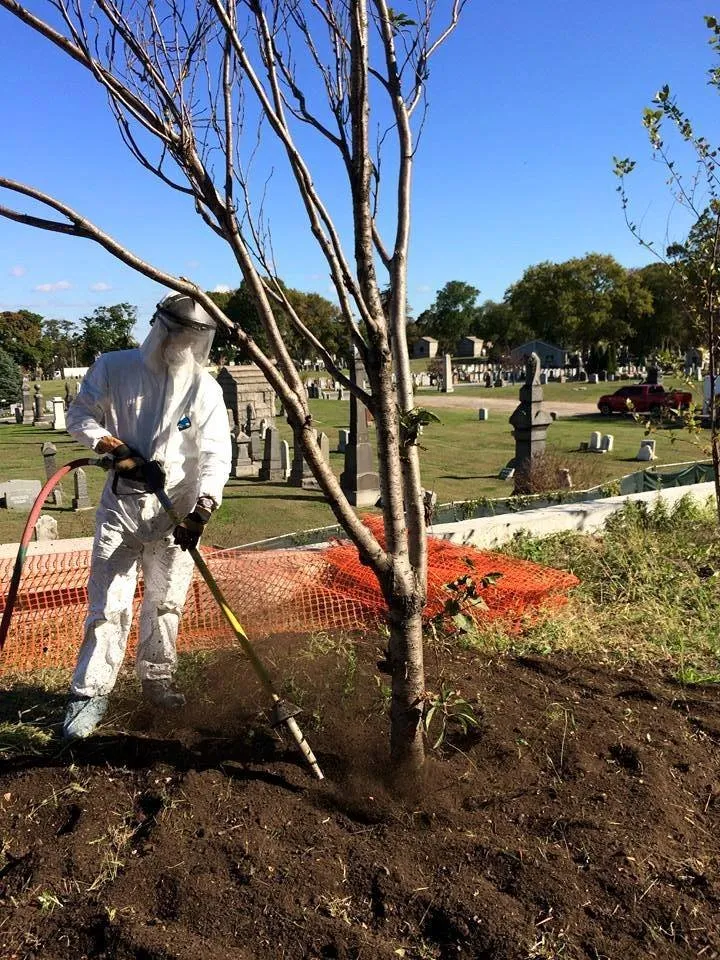 Expert residential landscaping for homes across Brooklyn, NY - Arborpolitan Tree & Garden Care