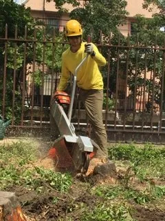 Expert lawn care service with custom design in Brooklyn, NY by Arborpolitan Tree & Garden Care