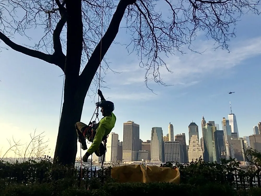 Trusted garden landscaping for outdoor upgrades across Brooklyn, NY - Arborpolitan Tree & Garden Care