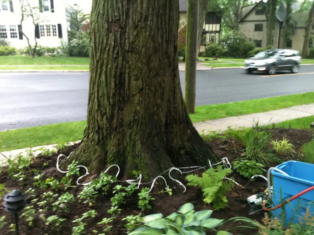 Professional yard maintenance with custom design across Brooklyn, NY - Arborpolitan Tree & Garden Care