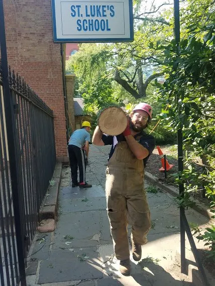 Professional landscape installation for year-round maintenance across Brooklyn, NY - Arborpolitan Tree & Garden Care