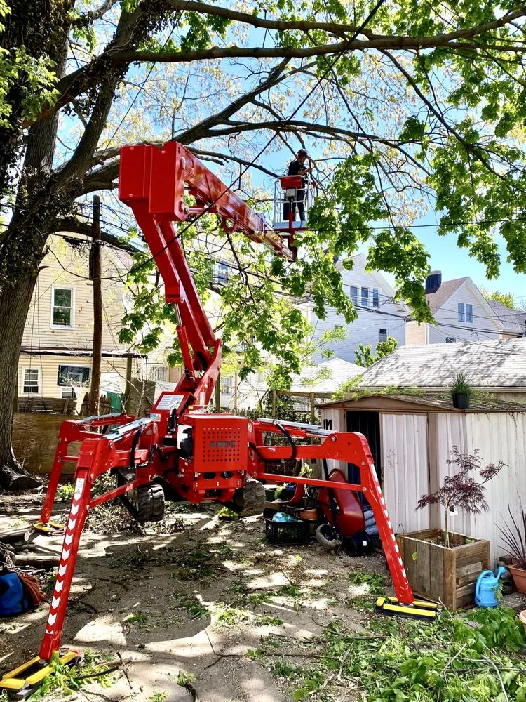 Top-rated residential landscaping experts serving Brooklyn, NY - Arborpolitan Tree & Garden Care