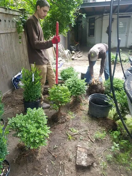 Trusted landscape installation with custom design in Brooklyn, NY by Arborpolitan Tree & Garden Care