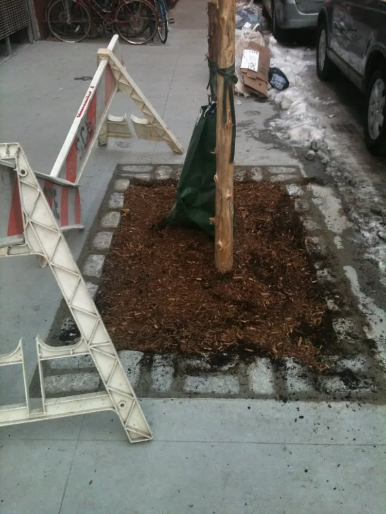 Reliable landscaping services in Brooklyn, NY - Arborpolitan Tree & Garden Care