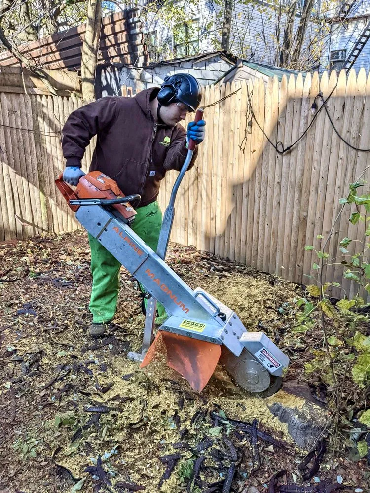 Custom yard maintenance in Brooklyn, NY - Arborpolitan Tree & Garden Care