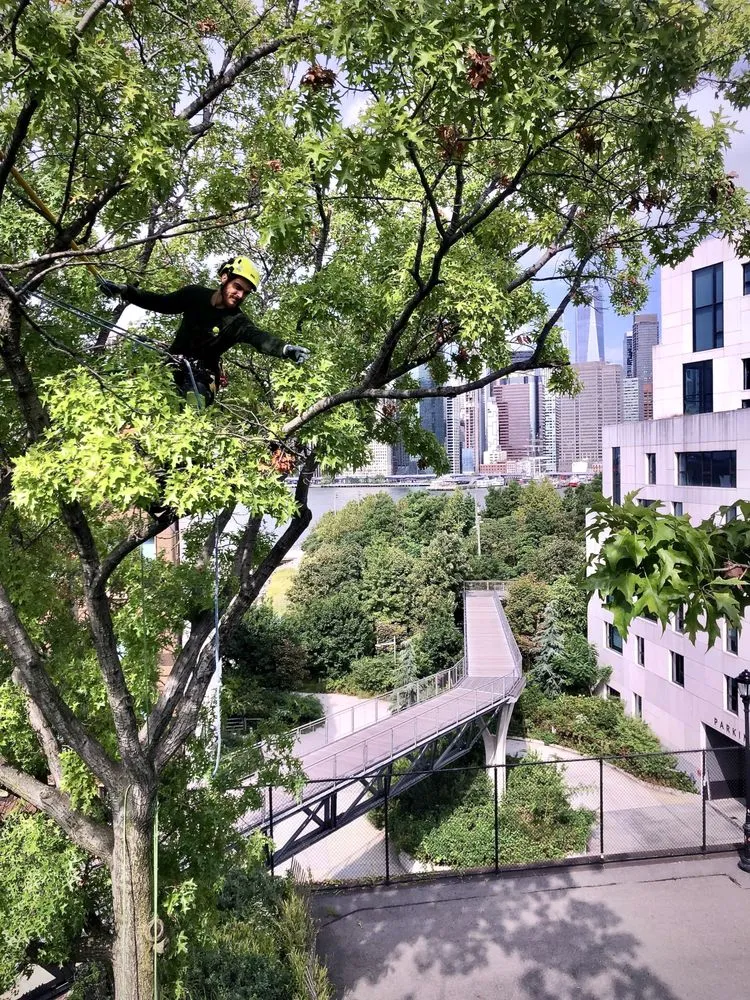 Custom landscape installation experts serving Brooklyn, NY - Arborpolitan Tree & Garden Care